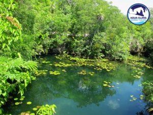 tulum tour 5 cenotes tankah tour - we visit 5 cenotes in one day