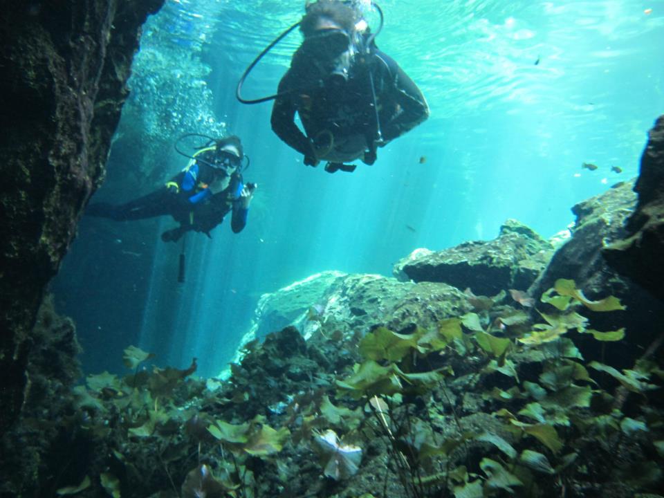 diving gran cenote mexico tulum agua clara dive shop 4